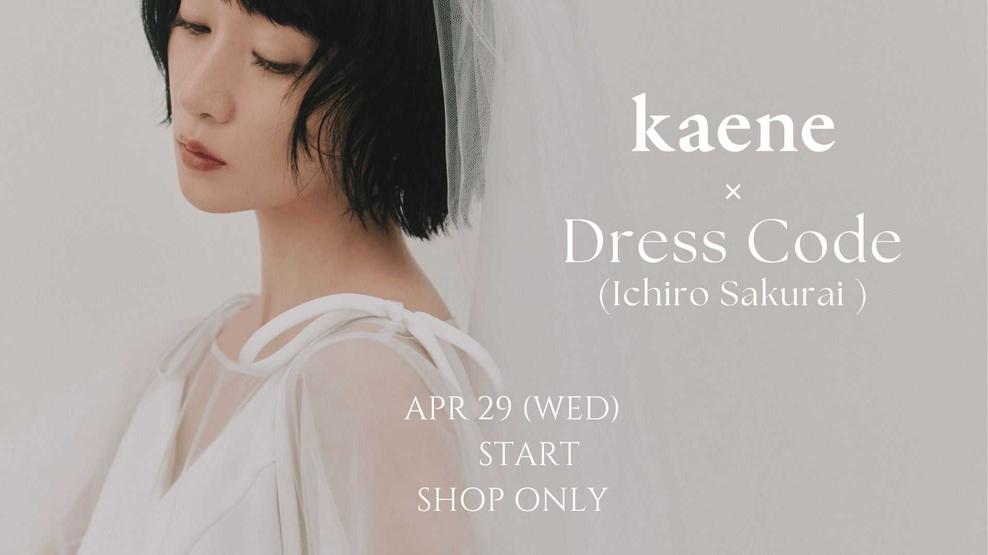 店舗限定｜コラボレーションドレス登場